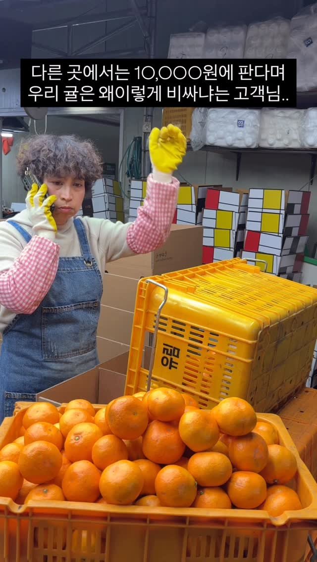 gyul_sup 게시물 이미지: 우리 귤은 얼마냐면..

농장에서 따온 귤을 하나하나 선별하며 
박스에 담고 있는데...