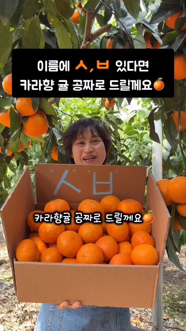 gyul_sup 게시물 이미지: 총 15만원치 카랴향 귤 뿌립니다!! 참여방법은
아래 캡션 내용을...