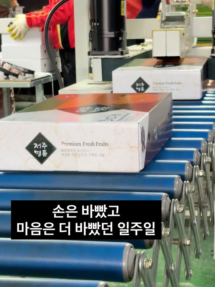 gyul_sup 게시물 이미지: 택배차가 떠나고 나서야
숨 한번 고르네요

하루종일 박스를 접고 
레드향을 담고...