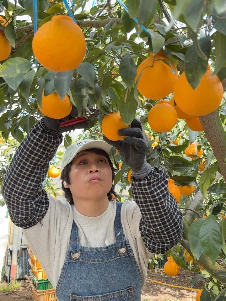 gyul_sup 게시물 이미지: 명절연휴 즐겁게 보내고 계시죠?
저도 오늘은 언니네와 동생도 만나
간만에 자매들...
