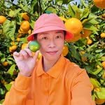 ha.0.dam.a_jeju 프로필 사진