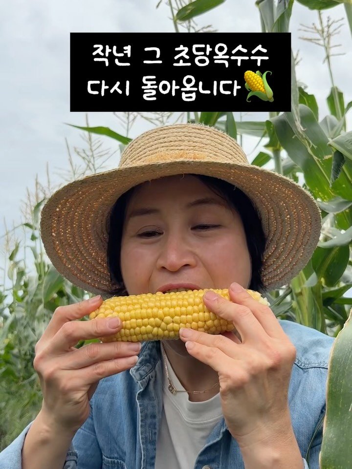 gyul_sup 게시물 이미지: 🌽 드디어 초당옥수수 오픈합니다!

작년에도 많은 분들이 찾아주셨던...