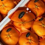 oonjeju 프로필 사진