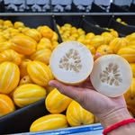 sophea_farm 프로필 사진