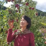 ibi3385 프로필 사진
