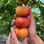 keungaeulnongjang 프로필 사진