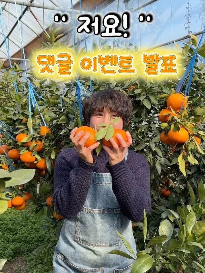 gyul_sup 게시물 이미지: 🎊레드향 선물 이벤트 당첨을 축하🎊

달콤함이 스며들듯 
레드향선물...