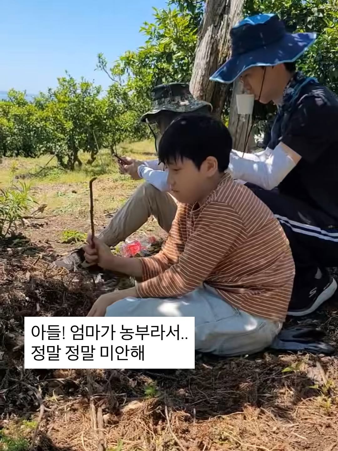 Photo by 아들셋 농부맘의 두번째 부엌_ 귤숲 on April 12, 2026. May be an image of one or more people, bangs, outdoors and text that says '아들! 엄마가 농부라서.. 정말 정말 미안해'.