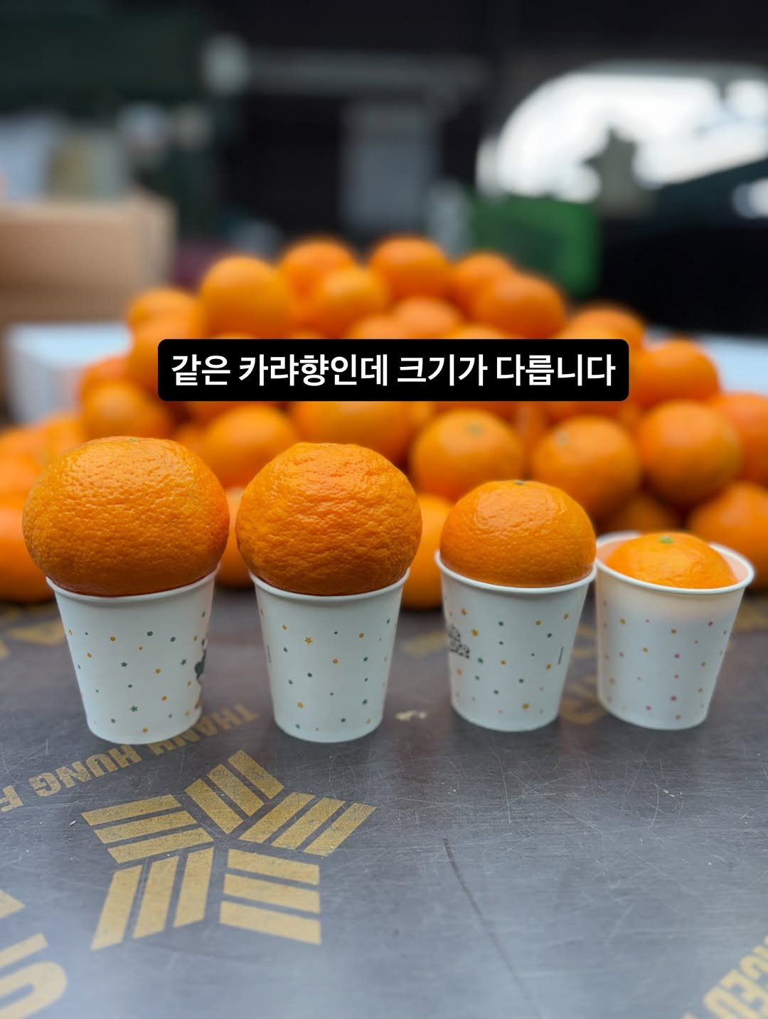 Photo by 아들셋 농부맘의 두번째 부엌_ 귤숲 on April 22, 2026. May be an image of mandarin and text that says '같은 카랴향인데 크기가 다릅니다 NOI NO 一 新'.