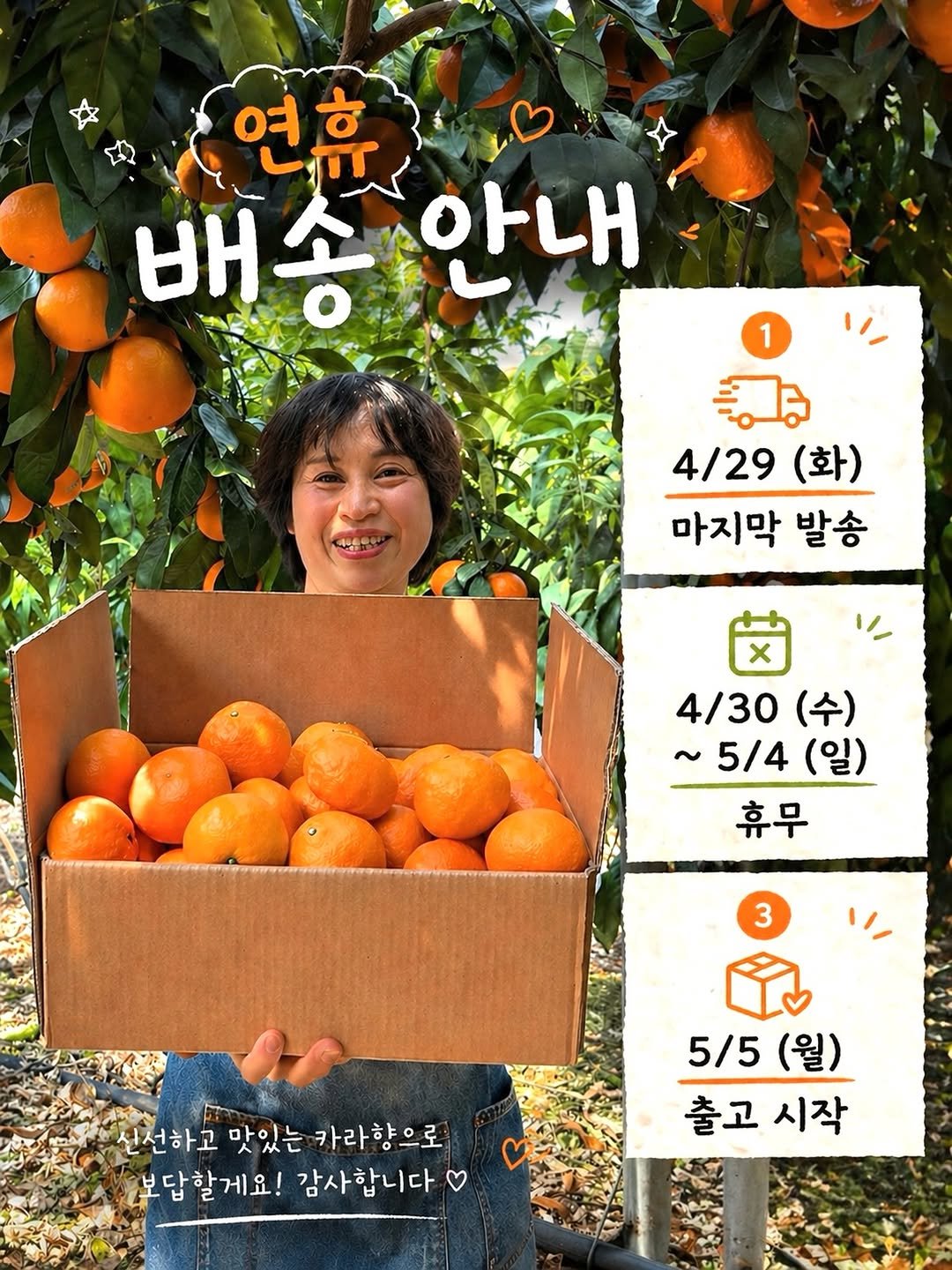 Photo by 아들셋 농부맘의 두번째 부엌_ 귤숲 on April 27, 2026. May be an image of mandarin, pomelo, grapefruit and text that says '여ㅎ 여 배송 배 배송안내 안내 1 4/29 (화) 마지막 발송 x 4/30 (수) ~5/4 5/4(일) (일) 휴무 3 3 신선하고 맛있는 카라향으로 보답할게요! 감사합니다 5/5 5/5(월) (월) 출고시작 출고 시작'.