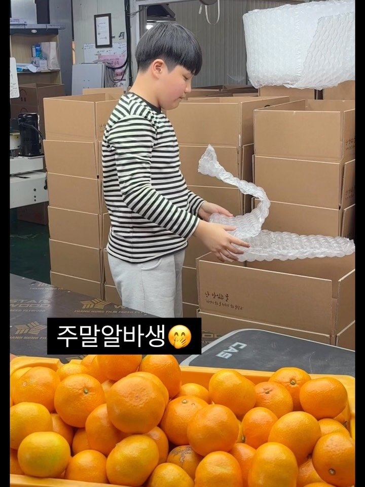 gyul_sup 게시물 이미지: 아들들은 노는법도 달라요..

쌓아둔 박스가 아들에겐 상상력의 재료예요

전쟁...