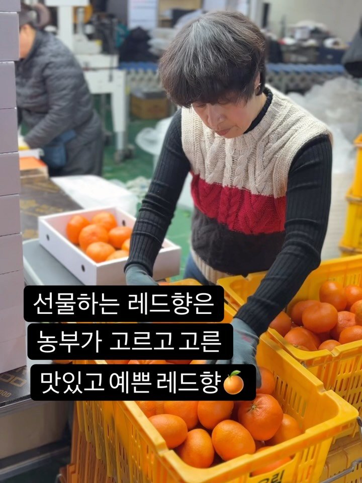 gyul_sup 게시물 이미지: ✅명절 전 마지막 발송, 내일(12일)

아직도
마트에서 스팸 선물할지 고민...