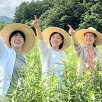 nongbu_changgo 프로필 사진