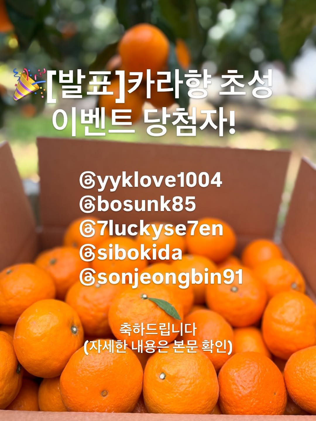 gyul_sup 게시물 이미지: 귤숲의 작은 이벤트에 보내주신 
뜨거운 마음 진심으로 감사합니다. 🧡

무려 15만...