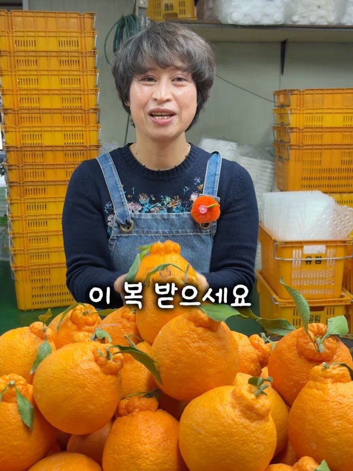 gyul_sup 게시물 이미지: 새해 복 많이 받으세요🍊

가족들과 함께하는 행복한 명절 보내세요🍊
