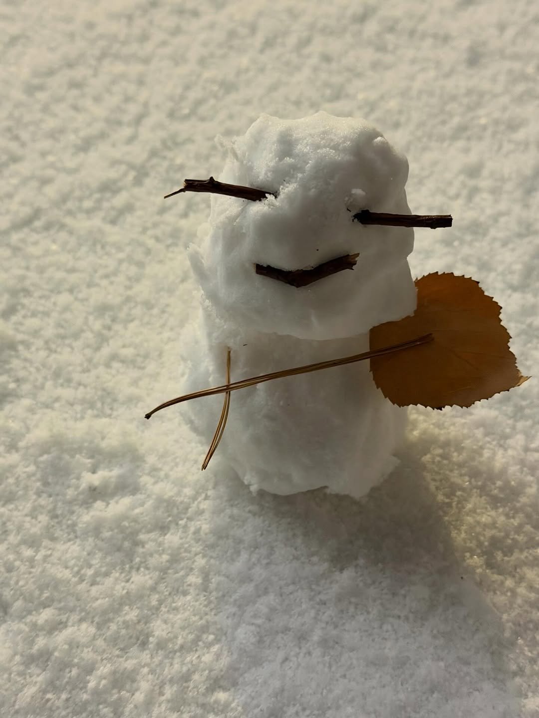 Photo by 장규리 on January 13, 2026. May be an image of snowball, snowman, snow and text.