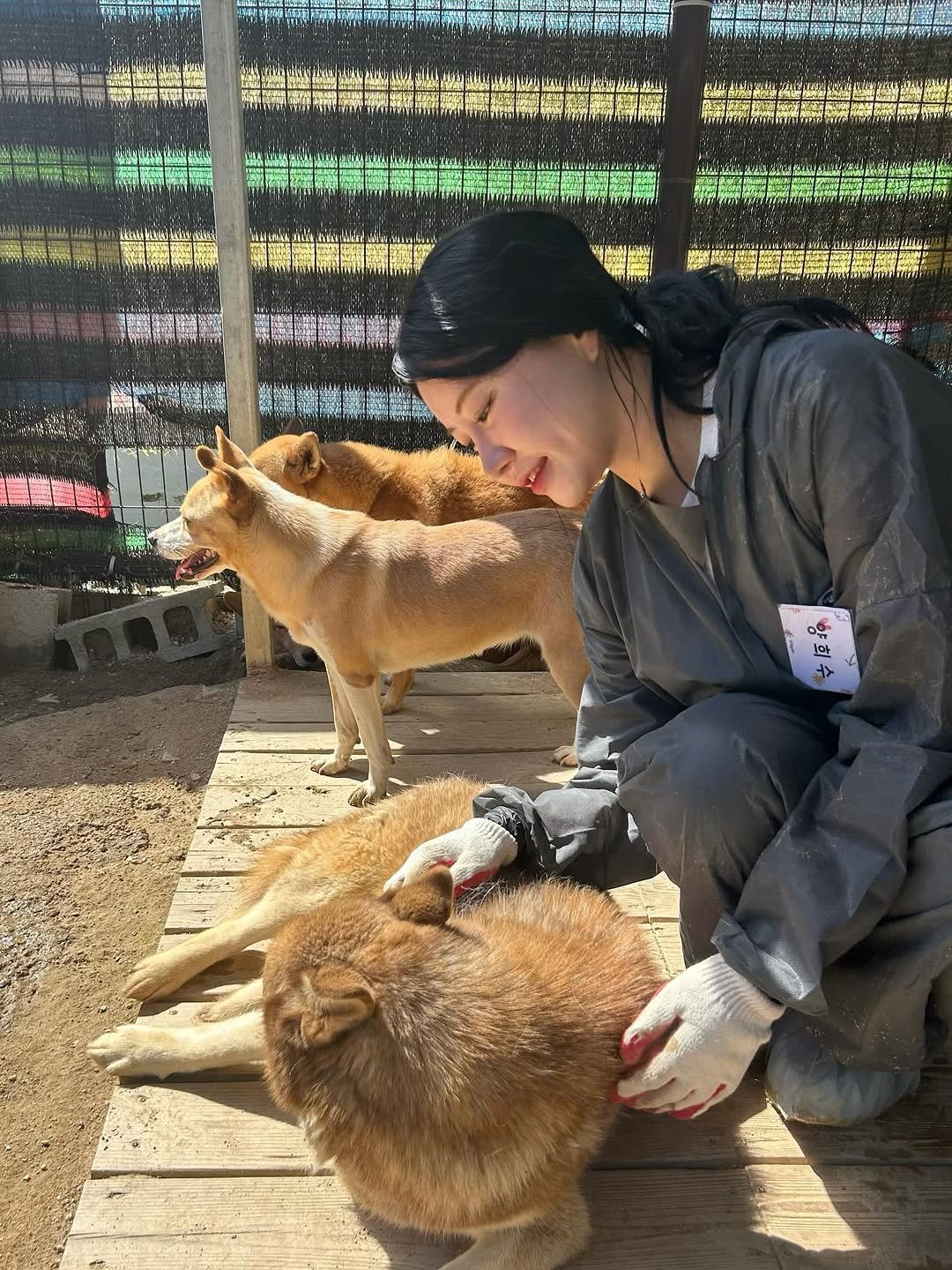 Photo by 흿 on September 20, 2025. May be an image of 1 person and big cat.