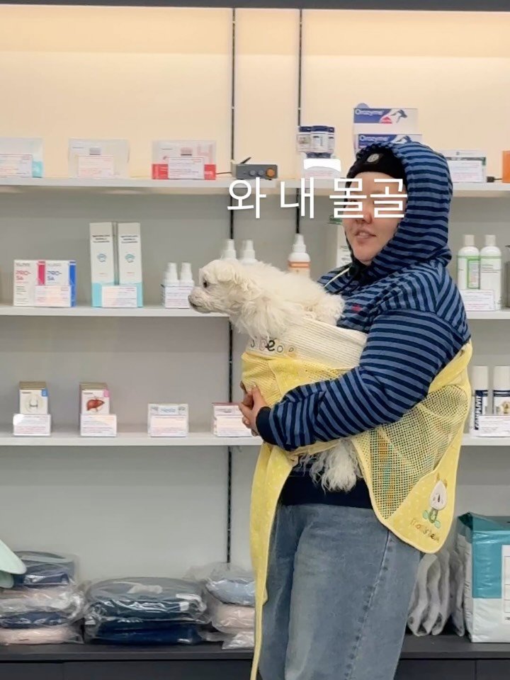 h.olys 게시물 이미지: 이송이 퇴원했떠야…
엄마가 송이 퇴원한거 전국 언니들께 전했냐고..😂
췌장이...