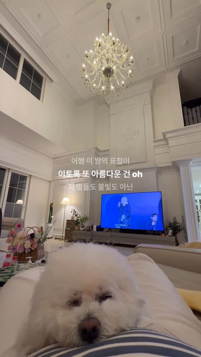 h.olys 게시물 이미지: 집에서 보는 #BTS ….💜
구름아 좀 비켜봐… 최애 #소우주