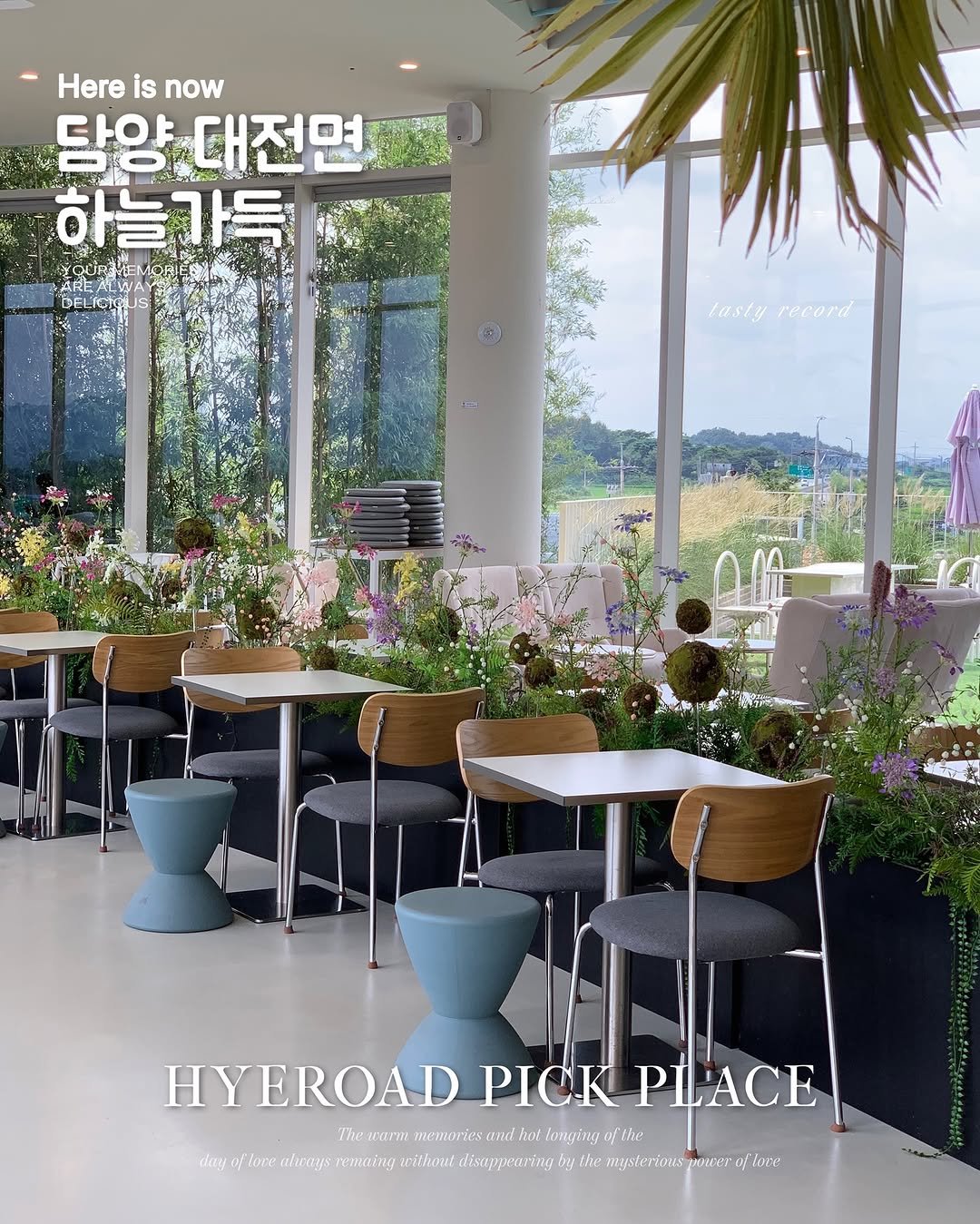 Photo shared by 혜로드 | 광주·전국 맛집카페공간 on July 19, 2025 tagging @hngd_fnb. May be an image of plant, outdoors and text.