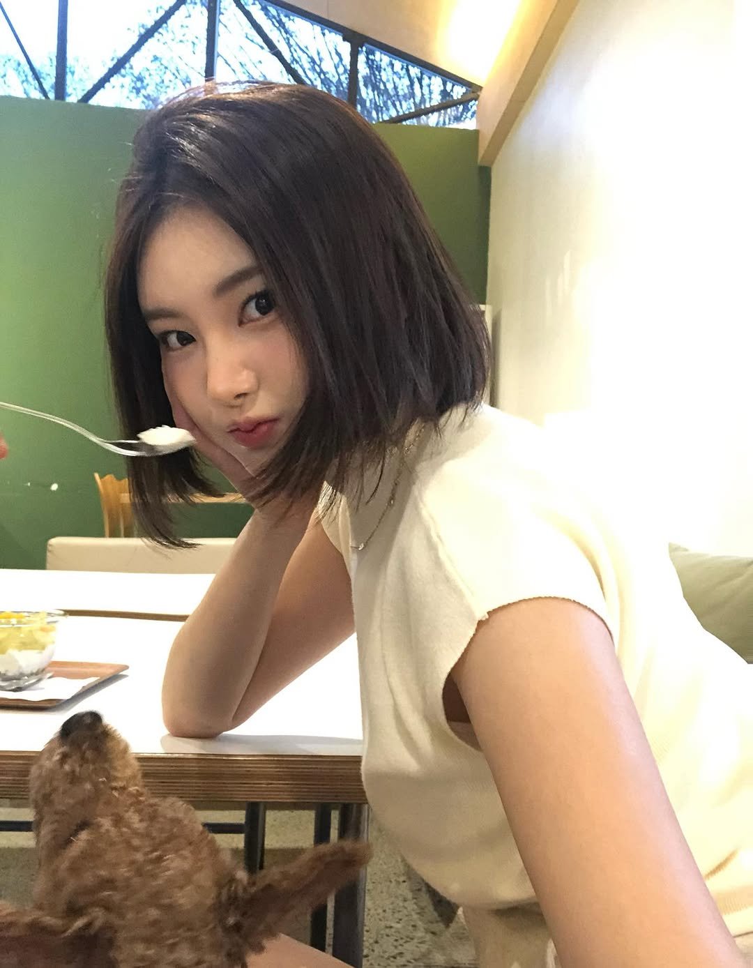 Photo by 혀녕이의 이모저모 on November 27, 2025. May be an image of one or more people, hair, wallaby and Bedlington terrier.