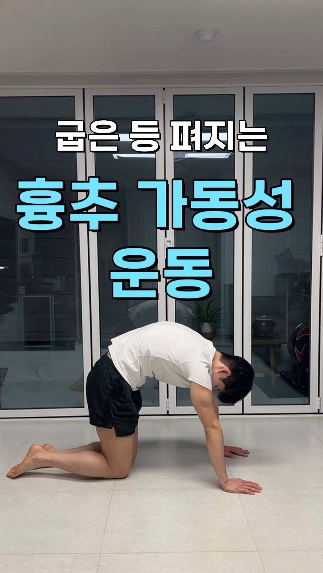 h_runner_physio 게시물 이미지: 물리치료사 요한입니다.

우리 몸의 관절은 가동성이 필요한 곳과 안정성이 필요한...