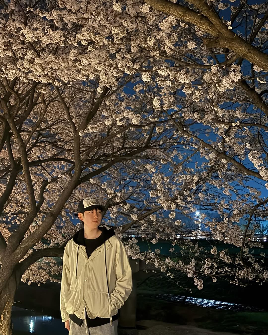 h_s_chans 게시물 이미지: .
밤벚꽃도 너무 예뻤어