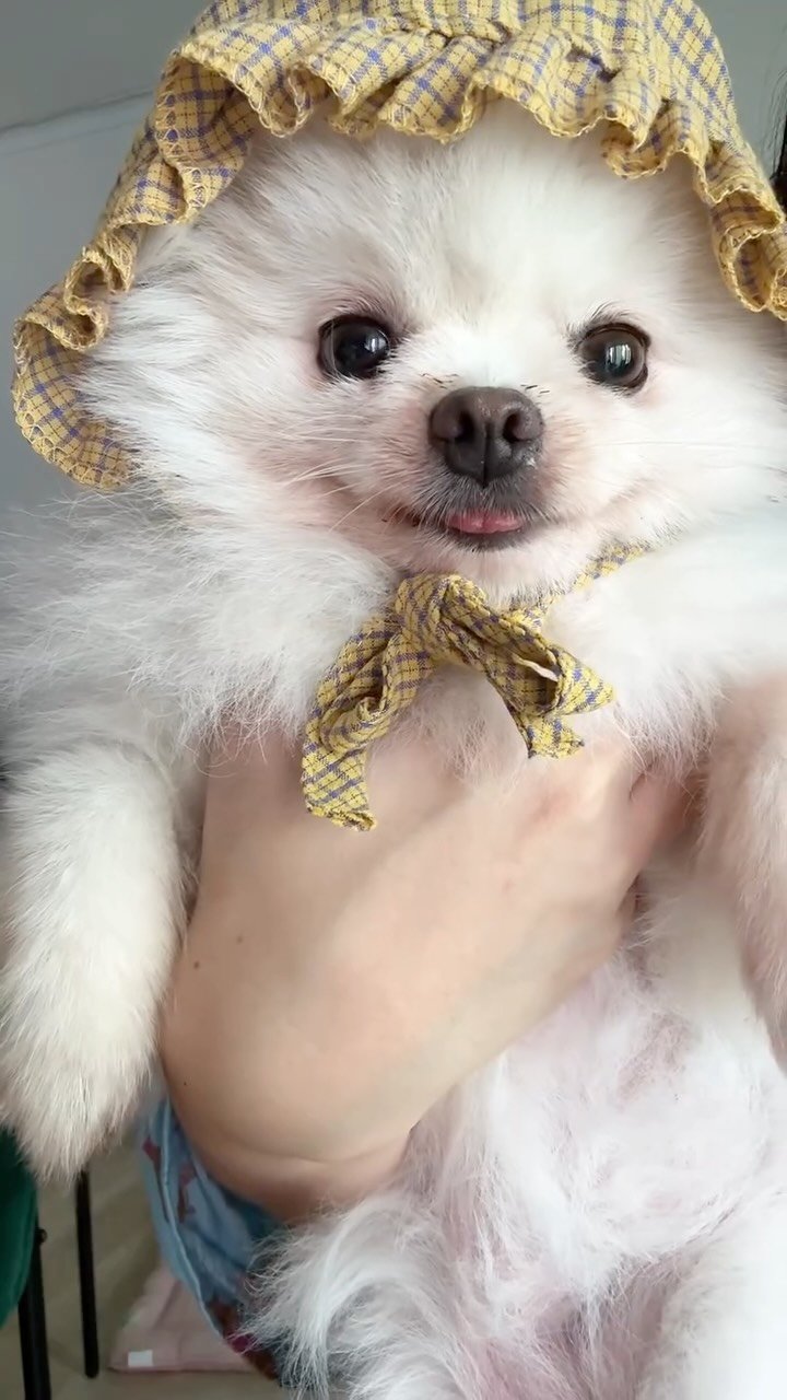 h_yun_ji_ 게시물 이미지: 너의 마음을 훔치러 우리가 떴다 항복해😎!