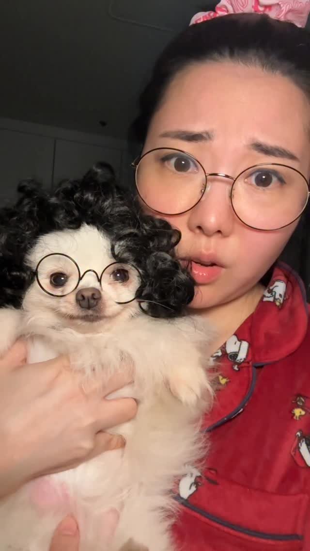 h_yun_ji_ 게시물 이미지: 현주디 엉니랑 걸스나잇 💄💋
견생 8세 첫일탈..!
엉니들이 북극곰이라  놀려서...