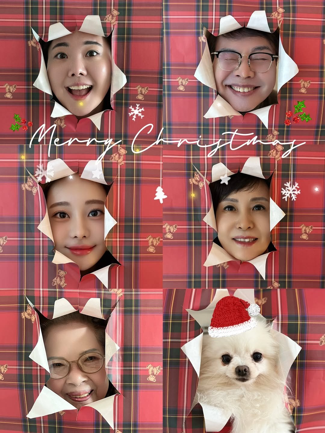 Photo by 김현지 | 현주디🐰 on December 12, 2025. May be a selfie of Norwich terrier, Pekinese and text.