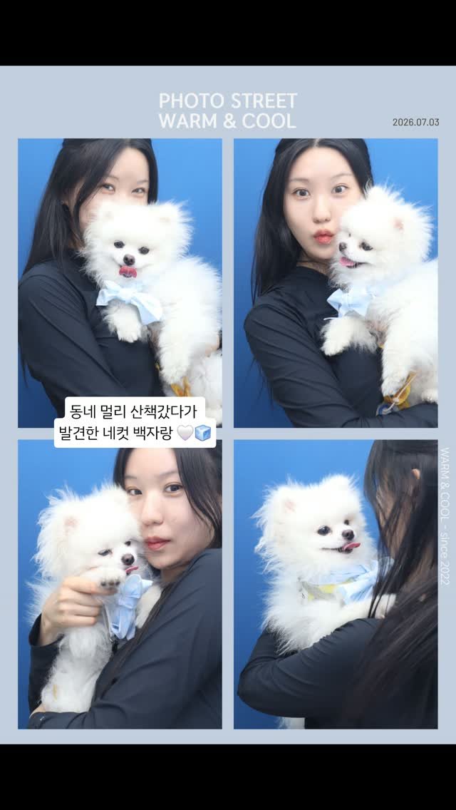 ha_dragon_daily 게시물 이미지: 넘므넘무 기여운 ..애기
#포메#포메라니안#강아디#졸귀#개플루언서
