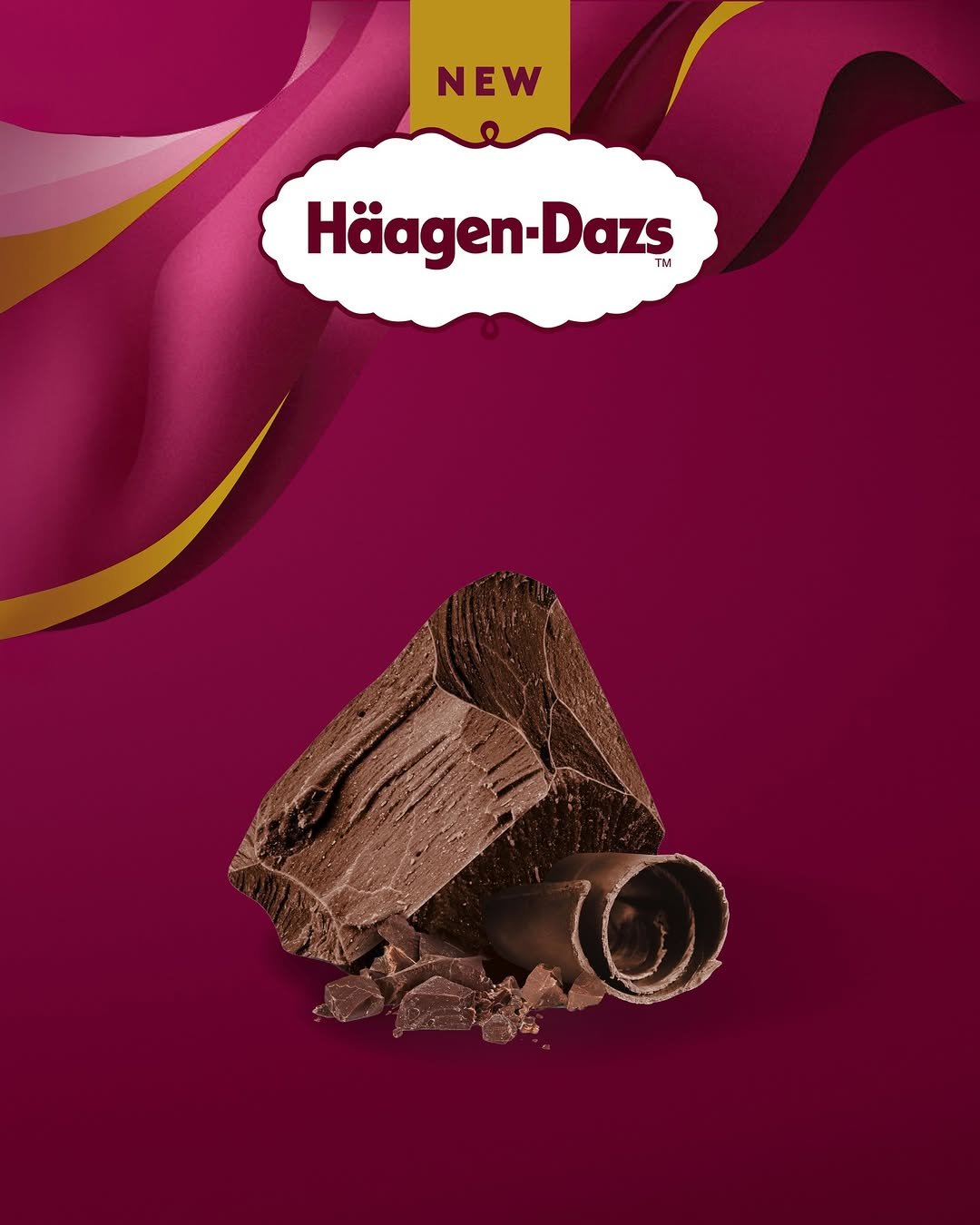 Photo by 하겐다즈 코리아 공식 인스타그램 on February 13, 2026. May be an image of chocolate bar, ice cream, gelato, wafer and text that says 'NEW Häagen-Dazs TM и Dazs'.