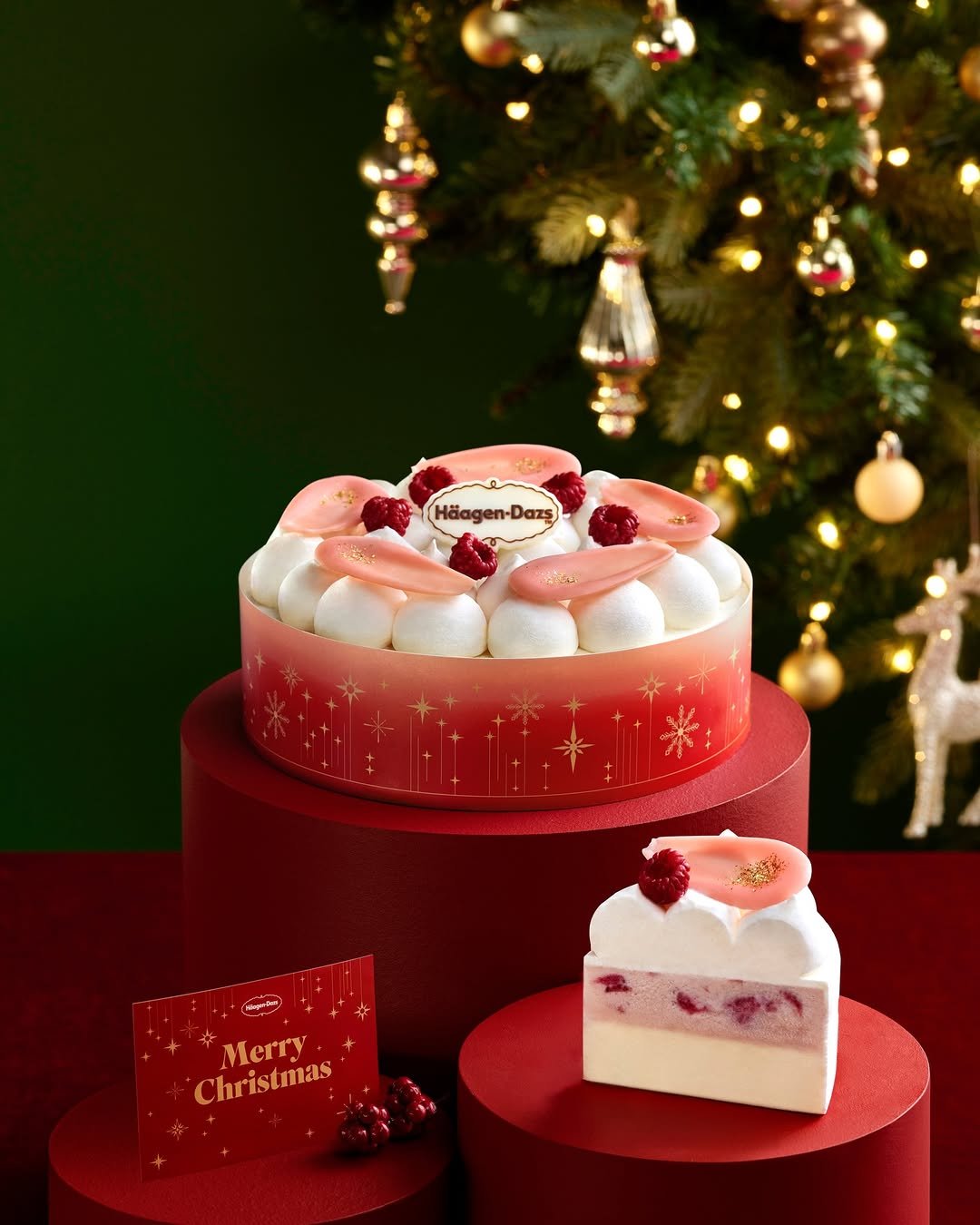 Photo by 하겐다즈 코리아 공식 인스타그램 on December 22, 2025. May be an image of ‎cake, fruitcake and ‎text that says '‎だた Häagen-Dazş) و Merry Christmas‎'‎‎.