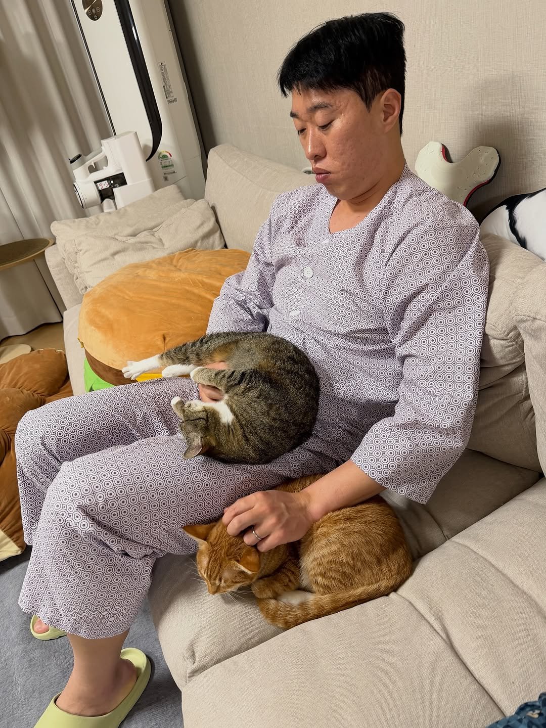 Photo by 송하빈 on December 31, 2025. May be an image of Abyssinian cat, sleepwear, bath robe and text.