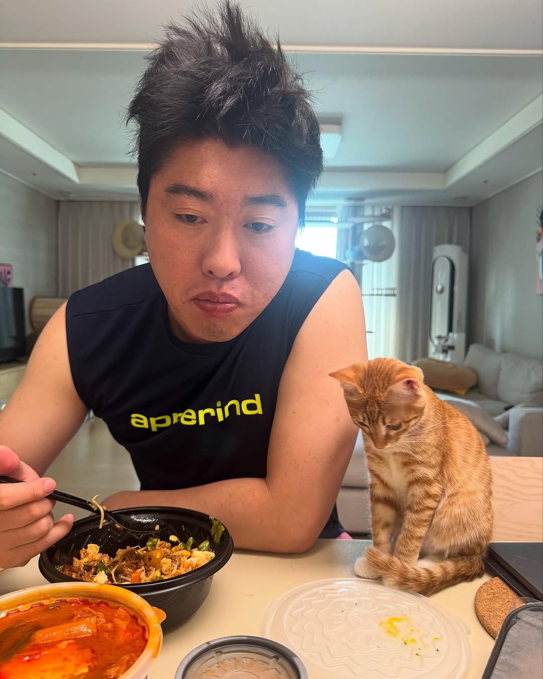 Photo by 송하빈 on September 19, 2025. May be an image of 1 person, kitten, Abyssinian cat and text.