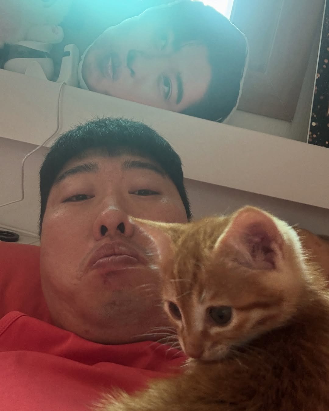 Photo by 송하빈 on June 19, 2025. May be an image of Abyssinian cat, kitten and text.