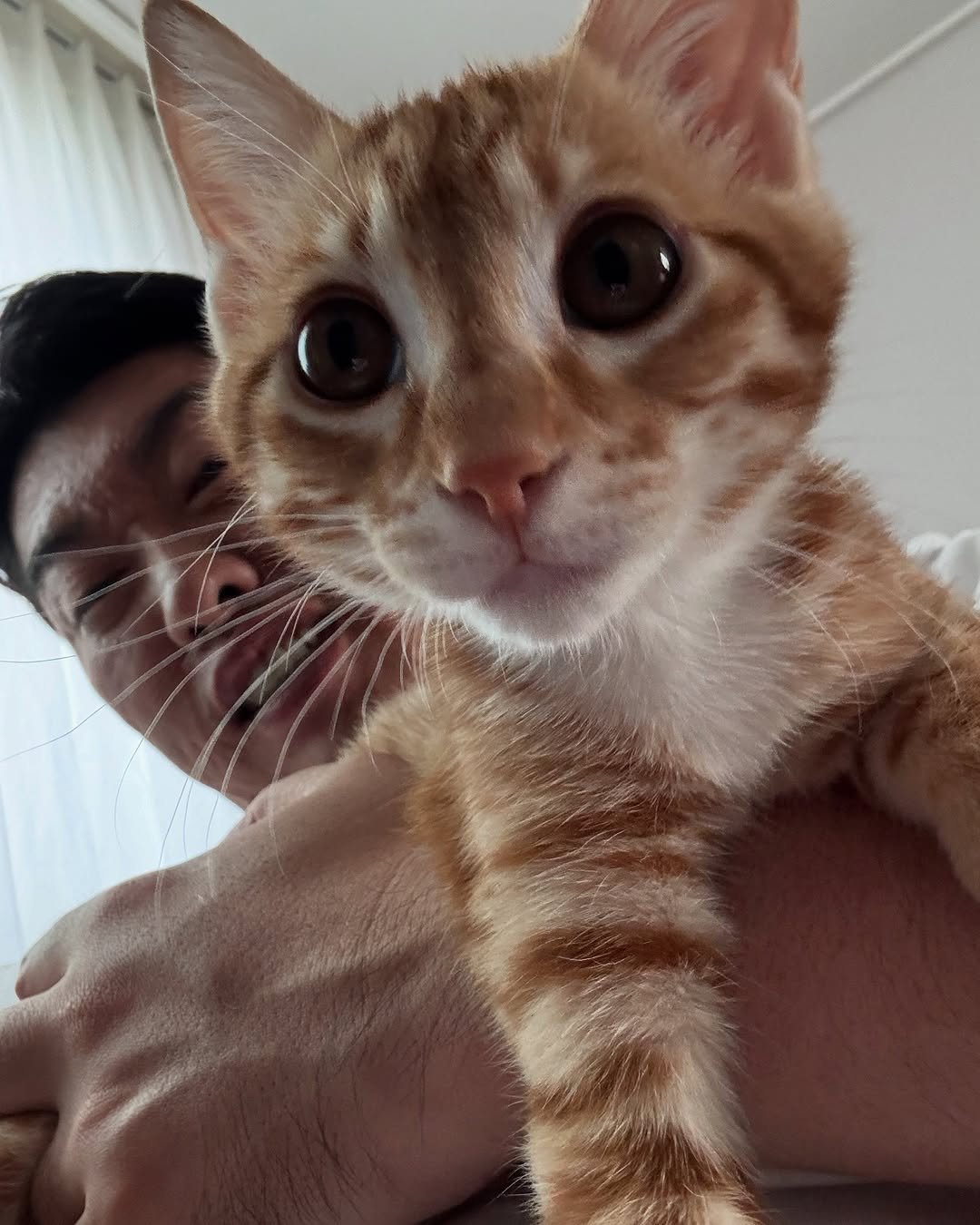 Photo by 송하빈 on August 08, 2025. May be an image of kitten and text.