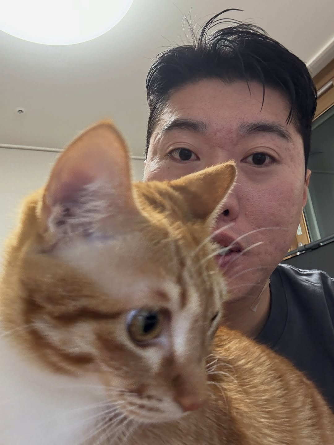 Photo by 송하빈 on February 11, 2026. May be a selfie of kitten and text.