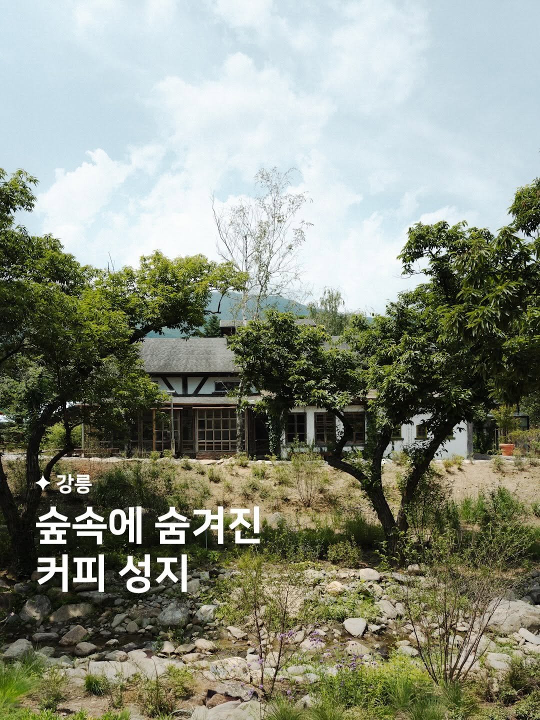 habit_film 게시물 이미지: 숲속에 숨겨진, 커피 성지 ☕️🌲

강릉에서 꼭 들러야 할 카페를 하나만...