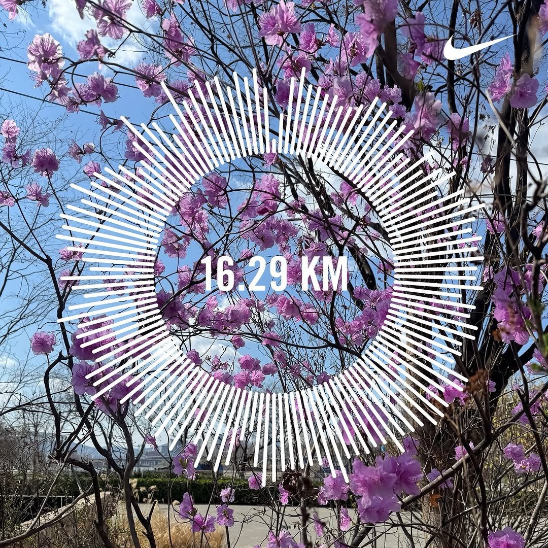 Photo by Habin Son on April 12, 2025.