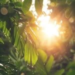 guidedtowellness 프로필 사진