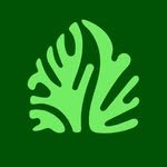 rootgrowings 프로필 사진