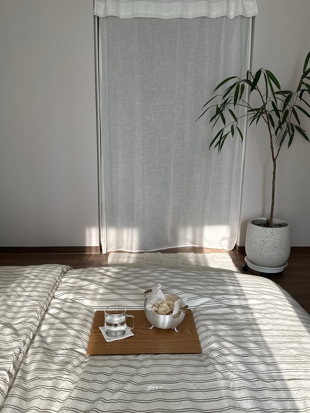 Photo shared by 해보구의 집 꾸미기 | 엄마의 감성 공간 노트 on November 09, 2025 tagging @29cm.official, and @jinochio_official. May be an image of house plant, curtains, tablecloth, indoors and text.