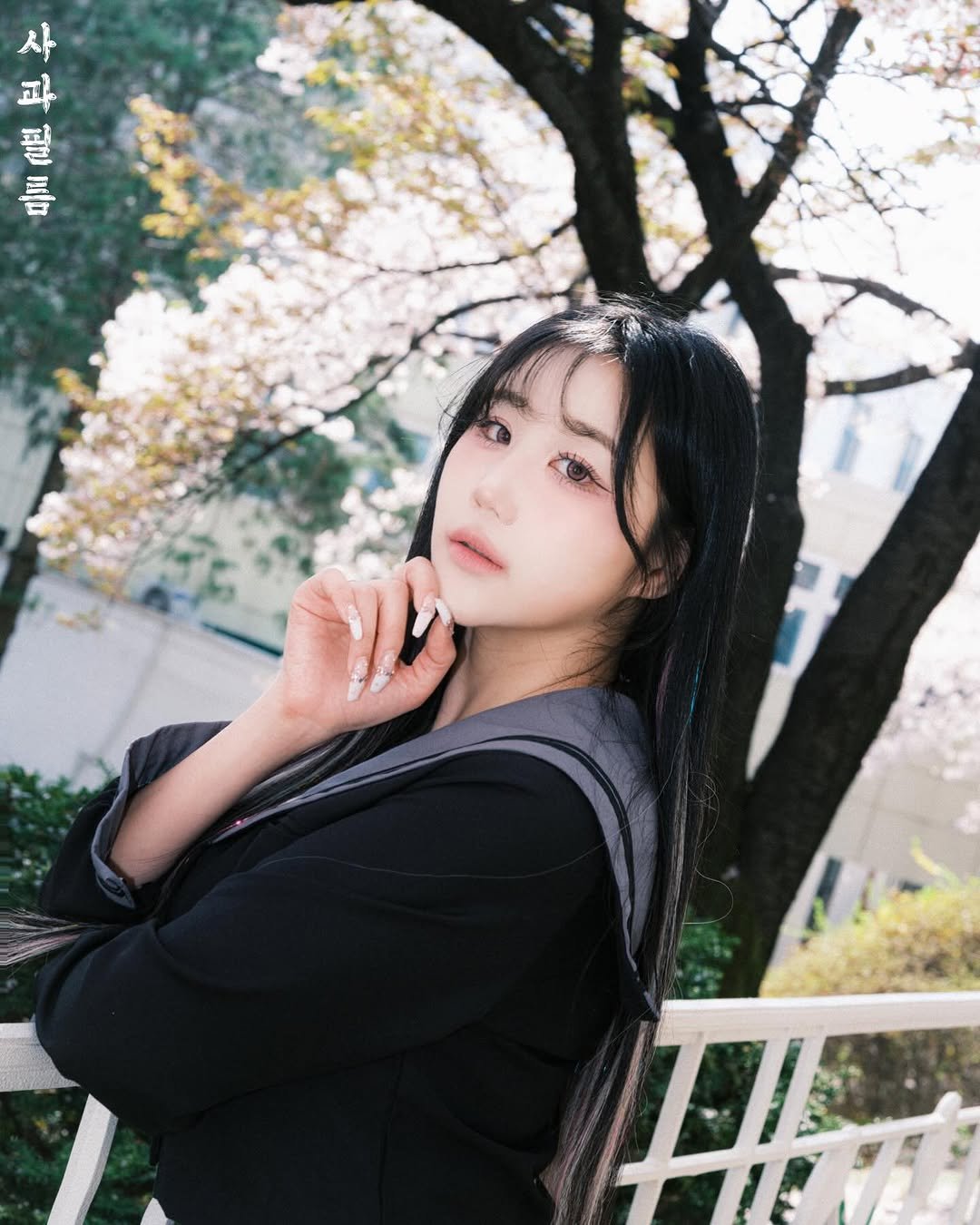 haebom_m 게시물 이미지: 桜花🌸
•
•
•
#벚꽃 #sakura #fyp #korean #스냅사진