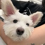 seoah._.01 프로필 사진