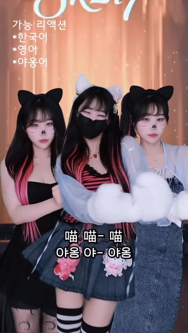 haebom_m 게시물 이미지: 킹받는 중국 후원리액션 고양이버전ㅋㅋㅋㅋㅋ개킹받아😹