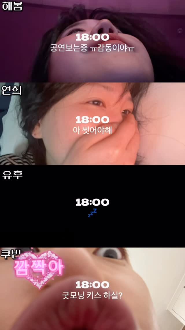 haebom_m 게시물 이미지: 스트리머 셋로그 막차 ☠️현실☠️