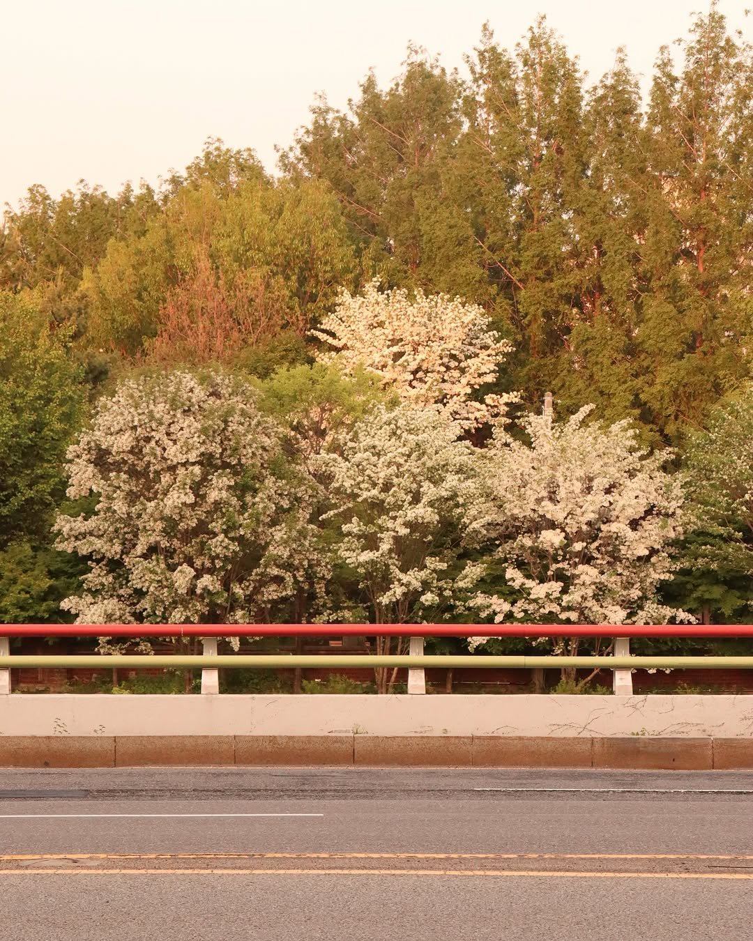 Photo by 해민 on May 29, 2025.