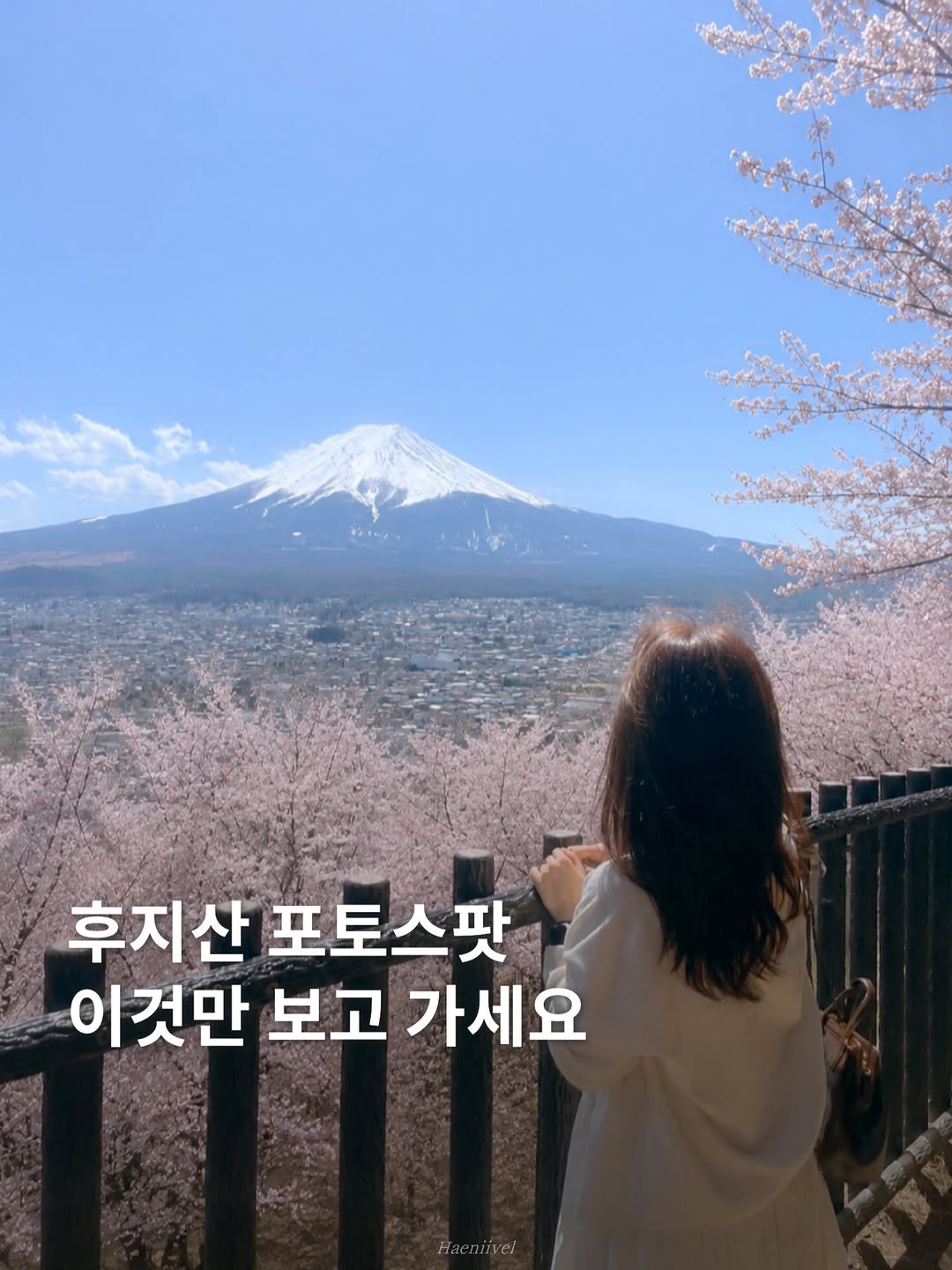 haeniivel 게시물 이미지: [저장/공유🇯🇵] 후지산 사진스팟 여기만 가도 성공!

@@ 시즈오카 함게 가는...