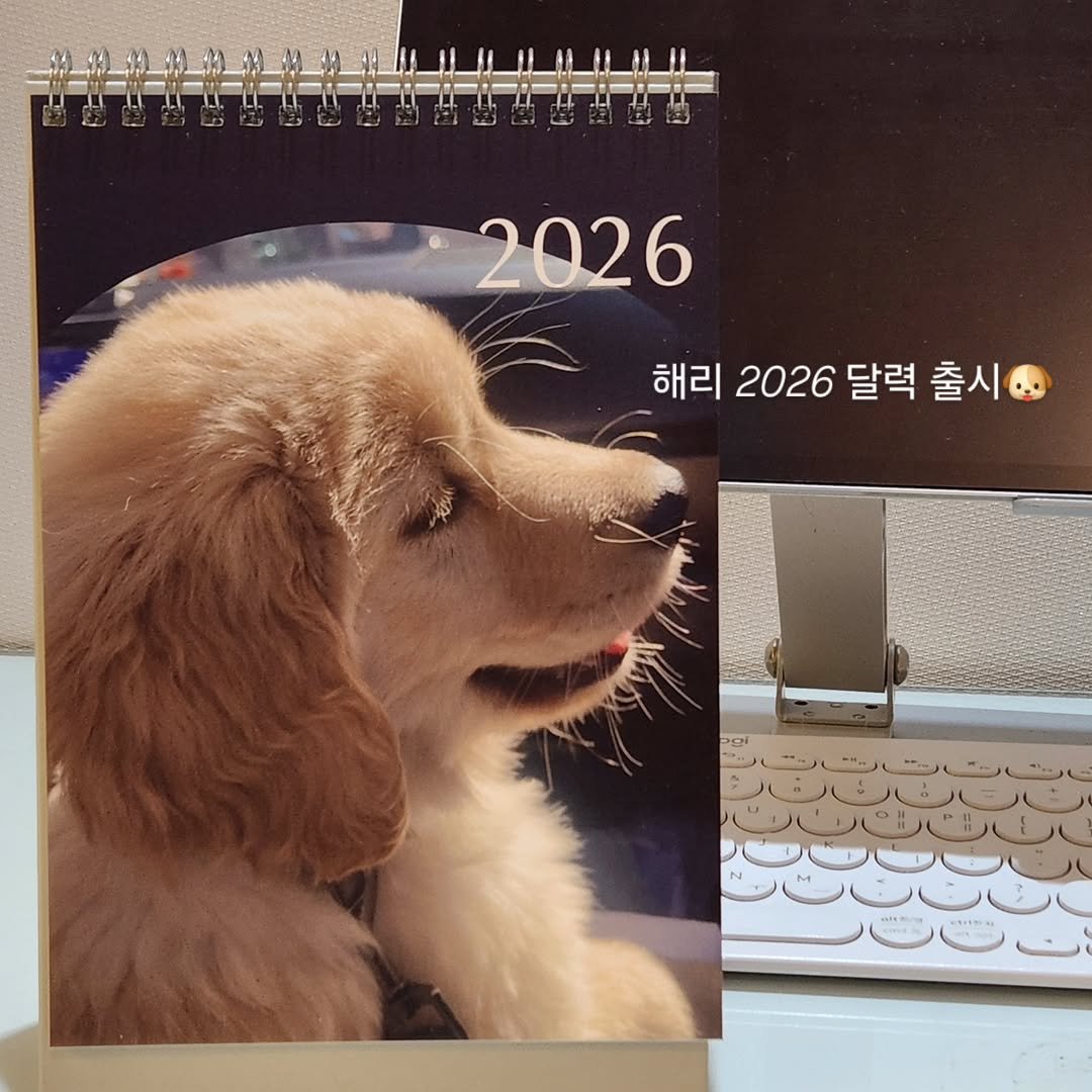 Photo by 리트리버 해리 on December 15, 2025. May be an image of golden retriever, calendar, binder, mouse pad and text that says '2026 해리 2026 달력 출시'.